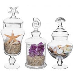 MyGift Set of 3 Apothecary Seashell Jars