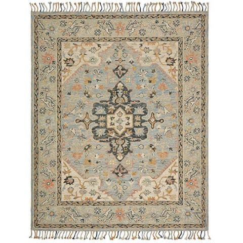 Stone & Beam Garrison Vintage Pattern Wool Area Rug