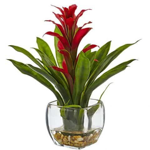 Nearly Natural Bromeliad with Glass Vase