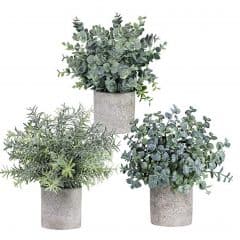 Winlyn Set of 3 Mini Potted Artificial Eucalyptus Plants
