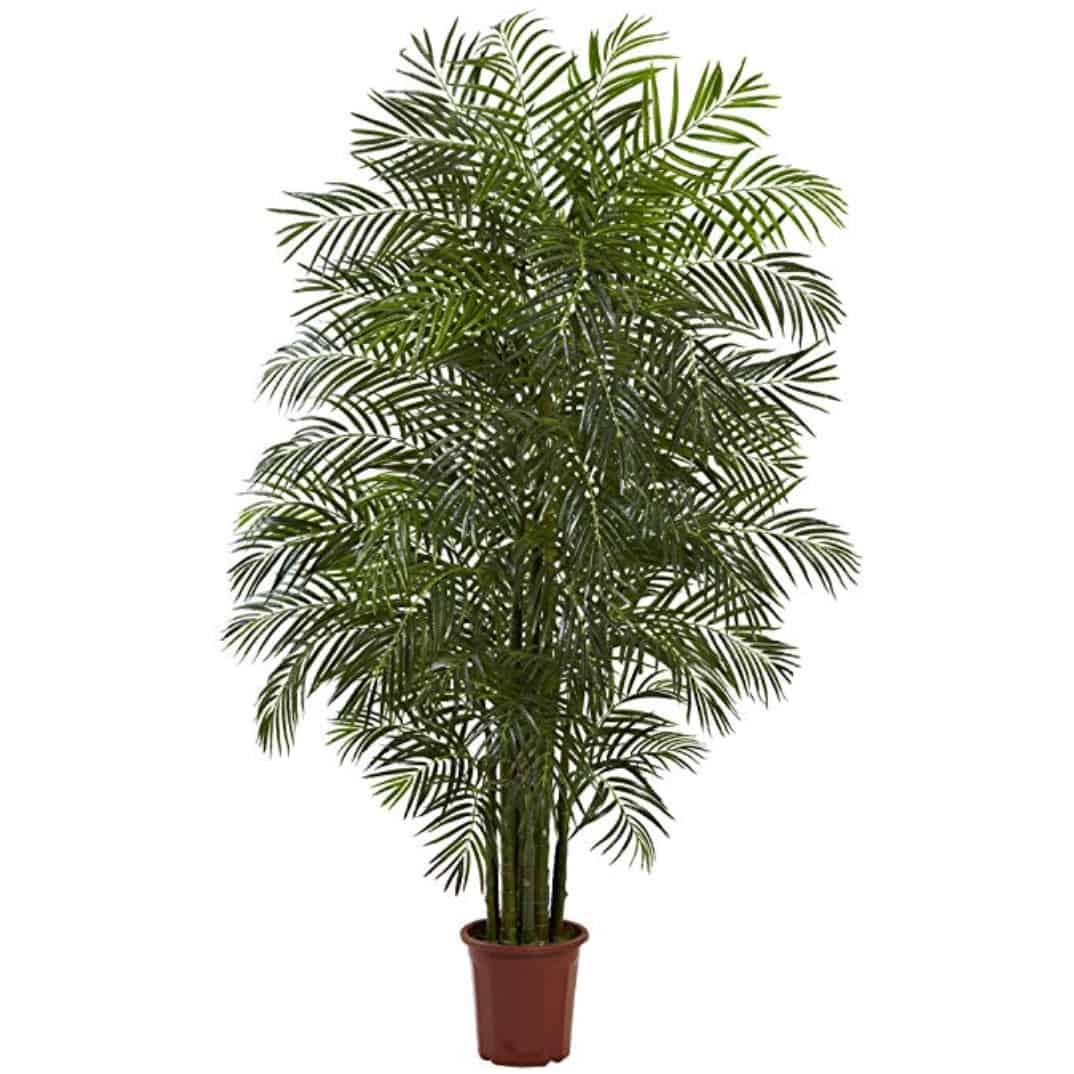 Nearly Natural Areca Palm